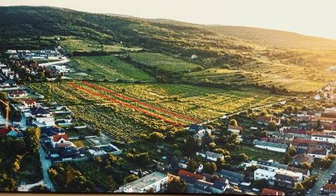 Prodej Pozemky - bydlení, Pozemky - bydlení, Drozdová, Bratislava - Ra