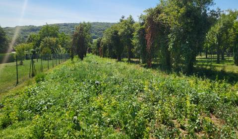 Prodej Pozemky - bydlení, Pozemky - bydlení, Neusiedl am See, Rakousko