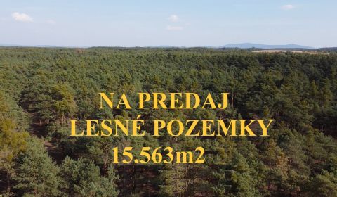Prodej Zemědělské a lesní, Zemědělské a lesní, Senica, Slovensko