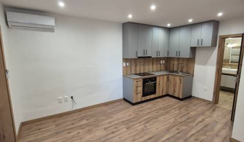 Pronájem Byt 1+1, Byt 1+1, Nové Zámky, Slovensko