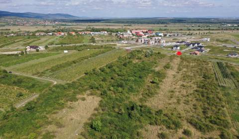 Prodej Zemědělské a lesní, Zemědělské a lesní, Pezinok, Slovensko