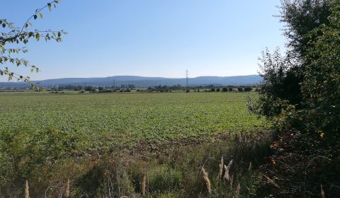 Prodej Zemědělské a lesní, Zemědělské a lesní, Malacky, Slovensko