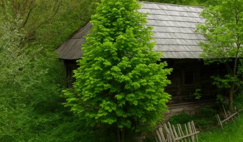 Prodej Pozemky - bydlení, Pozemky - bydlení, Mladoňov, Púchov, Slovens