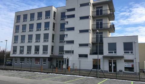 Pronájem Kancelářské prostory, Kancelářské prostory, Bojnická cesta, B