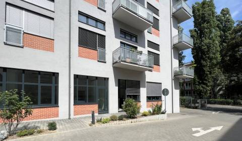 Pronájem Kancelářské prostory, Kancelářské prostory, Metodova, Bratisl