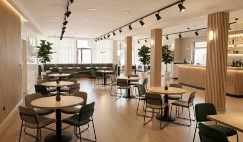 Pronájem Prostory pro obchod, Prostory pro obchod, Bottova, Žilina, Sl