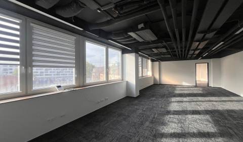 Pronájem Kancelářské prostory, Kancelářské prostory, Svätoplukova, Bra