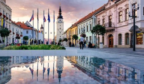 Prodej Prostory pro výrobu, Prostory pro výrobu, Trnava, Slovensko