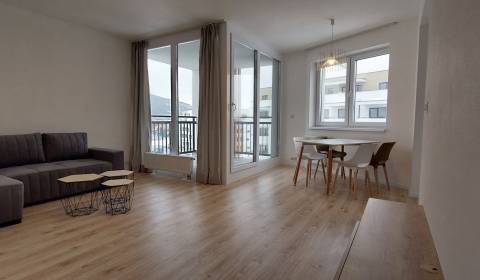 Pronájem Byt 2+1, Byt 2+1, Vladimíra Predmerského, Trenčín, Slovensko