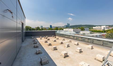 Pronájem Kancelářské prostory, Kancelářské prostory, Elektrárenská, Br