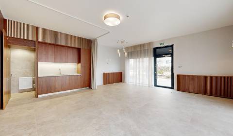 Pronájem Prostory pro obchod, Prostory pro obchod, Bernolákova, Bratis