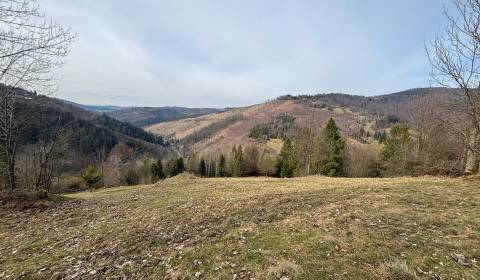 Prodej Pozemky - bydlení, Pozemky - bydlení, Závozy, Čadca, Slovensko