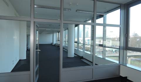 Pronájem Kancelářské prostory, Kancelářské prostory, Einsteinova, Brat