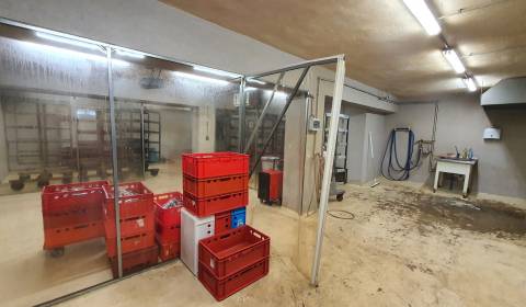 Prodej Prostory pro výrobu, Prostory pro výrobu, Veľký Krtíš, Slovensk