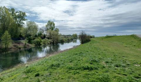 Prodej Zahrady, Zahrady, Škorčia, Senec, Slovensko