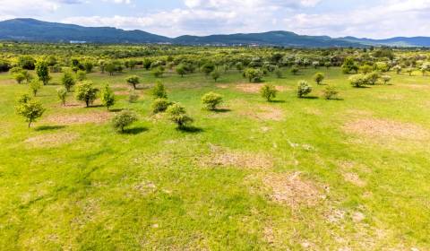 Prodej Pozemky - bydlení, Pozemky - bydlení, Dolná, Pezinok, Slovensko