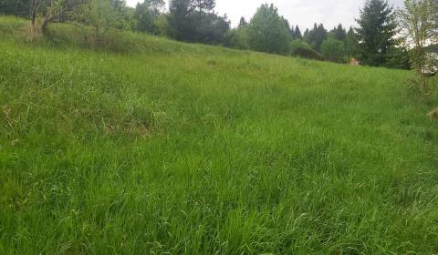 Prodej Pozemky - bydlení, Pozemky - bydlení, Čadca, Slovensko