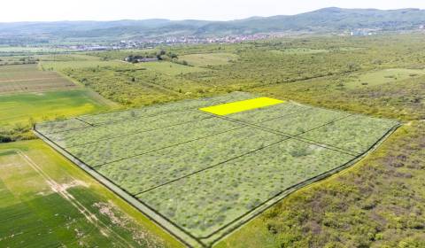 Prodej Pozemky - bydlení, Pozemky - bydlení, Dolná, Pezinok, Slovensko