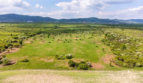 Prodej Pozemky - bydlení, Pozemky - bydlení, Dolná, Pezinok, Slovensko
