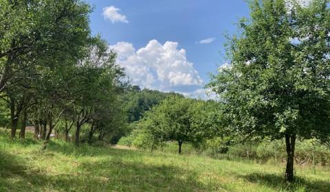 Prodej Pozemky - rekreace, Pozemky - rekreace, Púchov, Slovensko