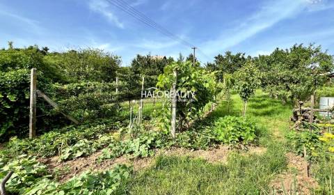 Prodej Pozemky - rekreace, Levice, Slovensko