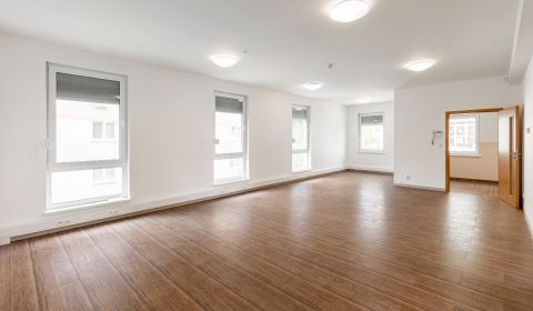 Pronájem Rodinný dům, Rodinný dům, Pluhová, Bratislava - Nové Mesto, S