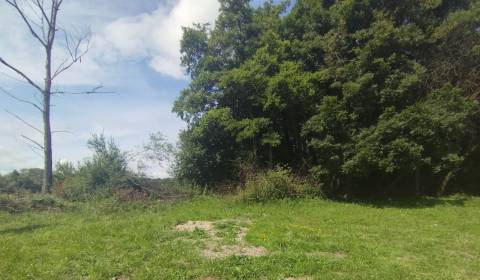 Prodej Pozemky - bydlení, Pozemky - bydlení, Pavčina Lehota, Liptovský