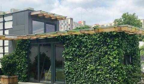 Pronájem Rodinný dům, Rodinný dům, Korytnická, Bratislava - Podunajské