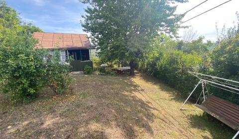 PRODEJ Chata s nádhernou vinicí, Hrušov, Slovensko