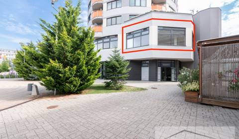 Pronájem Kancelářské prostory, Kancelářské prostory, Mierové námestie,