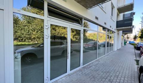 Pronájem Prostory pro obchod, Prostory pro obchod, Odevná, Trenčín, Sl