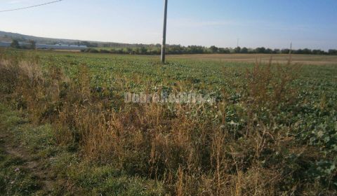 Prodej Pozemky - bydlení, Pozemky - bydlení, Rumanová, Nitra, Slovensk