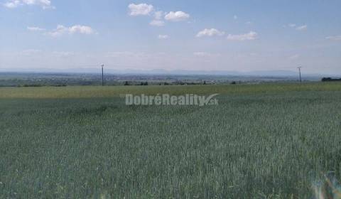 Prodej Zemědělské a lesní, Zemědělské a lesní, Galanta, Slovensko