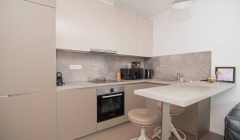 Pronájem Byt 2+1, Byt 2+1, Radlinského, Bratislava - Staré Mesto, Slov