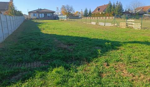 Prodej Pozemky - bydlení, Pozemky - bydlení, Veľké Bedzany, Topoľčany,