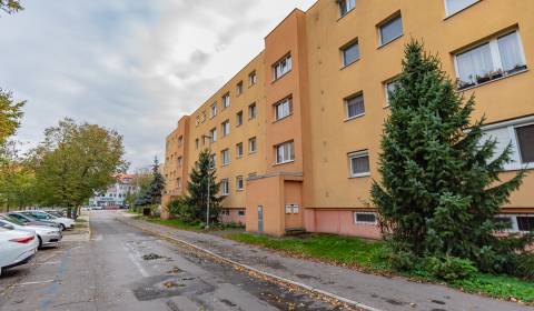 Prodej Byt 4+1, Byt 4+1, Radničné nám., Dunajská Streda, Slovensko