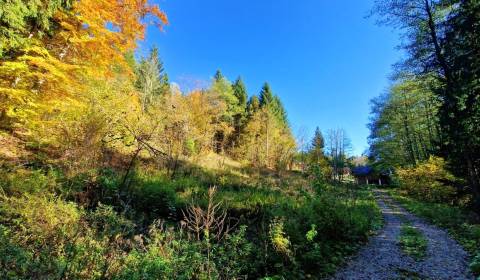 Prodej Pozemky - rekreace, Pozemky - rekreace, Krpáčovo, Brezno, Slove