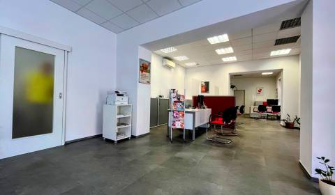 Pronájem Prostory pro obchod, Prostory pro obchod, Farská, Nitra, Slov