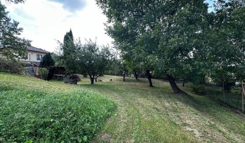 Prodej Zahrady, Zahrady, Prešov, Slovensko