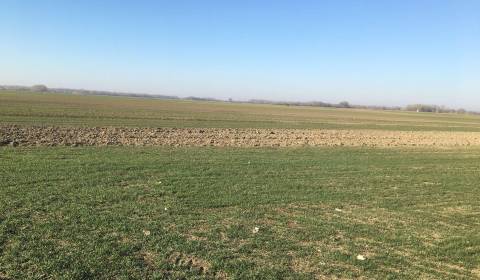 Prodej Zemědělské a lesní, Zemědělské a lesní, Galanta, Slovensko