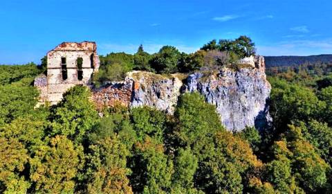 Prodej Pozemky - rekreace, Pozemky - rekreace, Borinka, Malacky, Slove