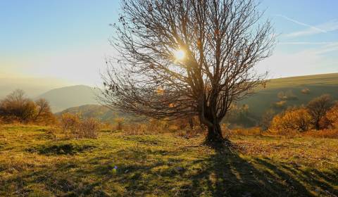 Prodej Zemědělské a lesní, Zemědělské a lesní, Rimavská Sobota, Sloven