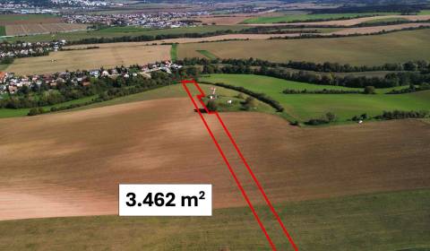 Prodej Zemědělské a lesní, Zemědělské a lesní, Trenčín, Slovensko