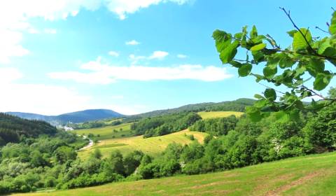 Prodej Zemědělské a lesní, Zemědělské a lesní, Medzilaborce, Slovensko