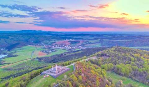 Prodej Zemědělské a lesní, Zemědělské a lesní, Myjava, Slovensko