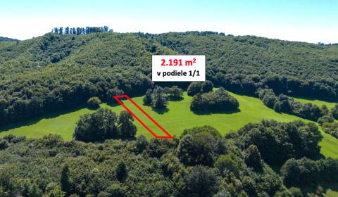 Prodej Zemědělské a lesní, Zemědělské a lesní, Trenčín, Slovensko