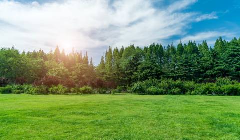 Prodej Zemědělské a lesní, Zemědělské a lesní, Veľký Krtíš, Slovensko