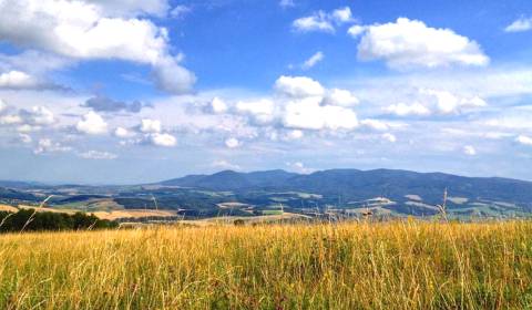 Prodej Zemědělské a lesní, Zemědělské a lesní, Prešov, Slovensko