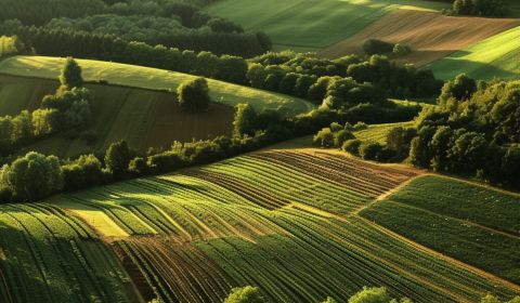 Prodej Zemědělské a lesní, Zemědělské a lesní, Turany, Martin, Slovens