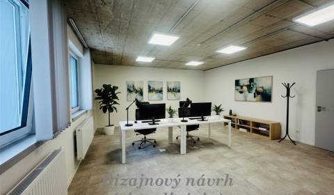 Pronájem Kancelářské prostory, Kancelářské prostory, Radlinského, Spiš